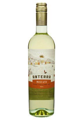 Вино Anterra Moscato Terre Siciliane IGT напівсолодке біле 0.75/12 Італія 14922 фото